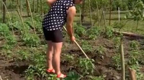 Românii se mută de la oraş la ţară. Judeţul în care s a dublat numărul caselor în construcţie