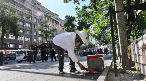Un apicultor capturează un roi de albine de pe trotuar, la Piața Romană din București: Imagini cu „intervenția” de pe artera aglomerată