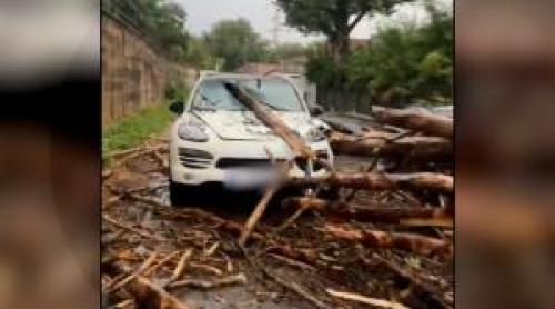 Cântăreţ celebru, la un pas să fie strivit de copac, în maşină. "Uitaţi cum era să mor"