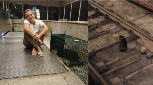Pisicul de la metroul Titan a fost salvat după patru ani printre șine. Acum îl cheamă Mișu și are deja un stăpân care îl așteaptă