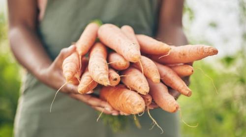 Singura țară care produce suficientă mâncare pentru locuitorii ei