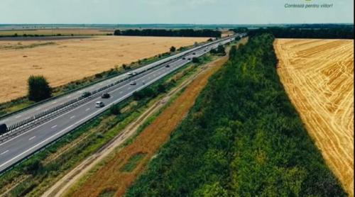 Sute de mii de duzi, măceși și vișini turcești au apărut la marginea Autostrăzii Soarelui. Au un rol strategic