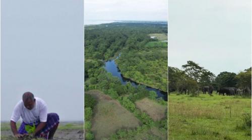 Un bărbat care a început să planteze copaci acum 40 de ani pe un teren arid a crescut între timp o pădure de 52 ha, plină de animale