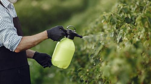 Un studiu pune sub semnul întrebării legătura dintre pesticide și cancer