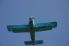 Tuzla Fly In 2008 - Acrobaţii aviatice pe malul Mării Negre 18338949