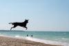 Vacanţa nu s-a terminat! 18376953