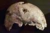 Un fragment de os cranian pune la îndoială teoria sinuciderii lui Hitler 18378906