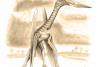 204 – Cornet, "lentila" cu dinozauri 18408733