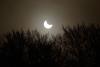 Amurg la amiază: eclipsa parţială de Soare 18416499