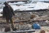 Ocna Mureş 18417089