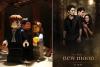 Scene din "Twilight", "" "Inception" şi "James Bond", în varianta LEGO 18417277