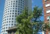 Buenos Aires:O Capitală cât o Ţară 18423135