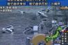 Cutremur cu magnitudinea 8,9 în Japonia - imagini din timpul seismului 18424109