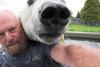 Prietenie extremă între un bărbat şi un urs polar. Vezi fotografii incredibile! 355819