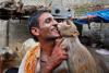 Un indian şi-a însurat... maimuţa fumătoare (Foto) 521510