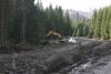 Drumul lui Băsescu distruge ultima pădure virgină din UE 768675