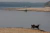 Dunarea la cote minime. Galerie foto 1784548