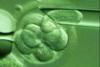 Joaca de-a Dumnezeu: Cercetătorii au creat embrioni umani din celule ale pielii 1860983