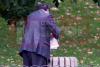 Mâna dreaptă a premierului britanic prins aruncând documente SECRETE în coşurile de gunoi din parc 1970827