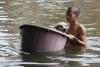 Câinii printre victimele inundaţiilor din Tailanda 2044297