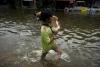 Câinii printre victimele inundaţiilor din Tailanda 2044305