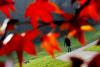 8 noiembrie 2011. Imaginile zilei 2471823