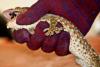 16 noiembrie 2011. Imaginile zilei 2636487