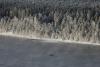 6 ianuarie 2012. Imaginile zilei 5935599