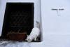 7 ianuarie 2012. Imaginile zilei 5967376