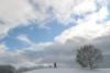 24 ianuarie 2012. Imaginile zilei 6731217