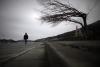 Comemorarea victimelor dezastrului din Japonia de la 11 martie 2011 9061866