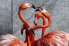 14 martie 2012. Imaginile zilei 9174424