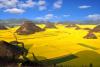 15 martie 2012. Imaginile zilei 9213983
