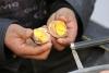 Ultima fiţă în bucătăria chineză: ouă fierte în urină de băieţei! Vezi beneficiile oferite (GALERIE FOTO) 9801729