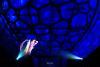 1 aprilie 2012. Imaginile zilei 9980655
