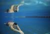 18 aprilie 2012. Imaginile zilei 10690822