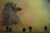 24 aprilie 2012. Imaginile zilei 11079343