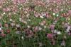 27 aprilie 2012. Imaginile zilei 11258204