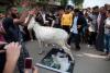 8 mai 2012. Imaginile zilei 11691386