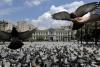 31 mai 2012. Imaginile zilei. 12719372