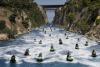 6 iunie 2012. Imaginile zilei 12987467
