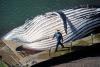 1 august 2012. Imaginile zilei 15398730