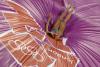 7 august 2012. Imaginile zilei 15704643