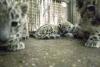 12 august 2012. Imaginile zilei 15929025