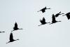12 septembrie 2012. Imaginile zilei 17514830