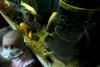 24 septembrie 2012. Imaginile zilei 18034309