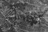 Cele mai mari şapte dezastre din istoria Bucureştiului 18274000