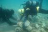 O meserie fabuloasă: căutător de comori pe fundul mării. Vezi imaginile de la locul de muncă (FOTO, VIDEO)  18435869