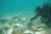 O meserie fabuloasă: căutător de comori pe fundul mării. Vezi imaginile de la locul de muncă (FOTO, VIDEO)  18435872