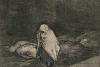 Goya, cronicarul tuturor războaielor: Dezastrele şi fotografia de război 18437035